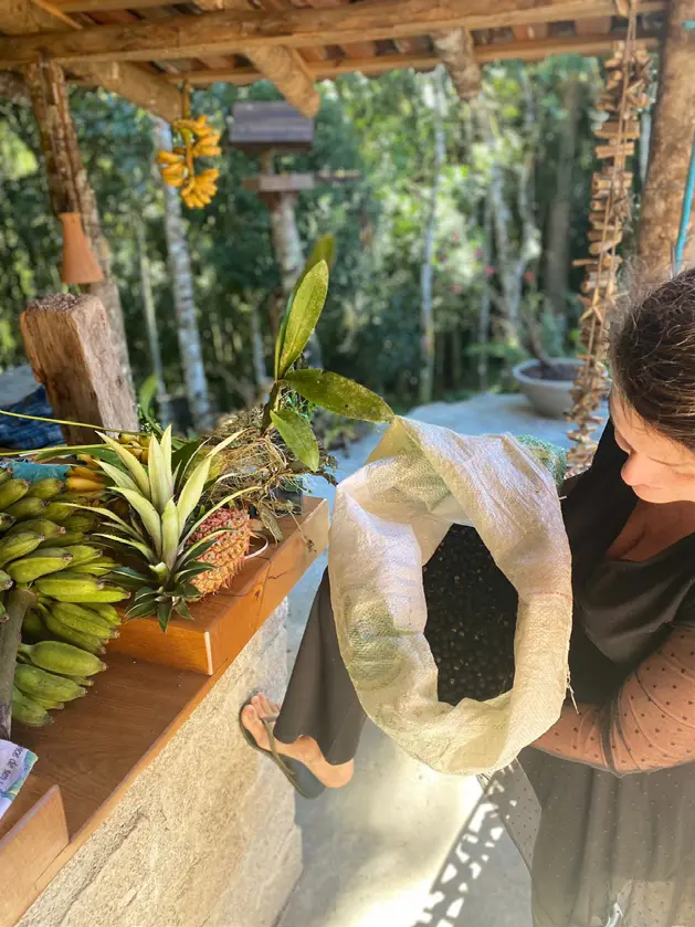 A nature-inspired indoor wellbeing space
